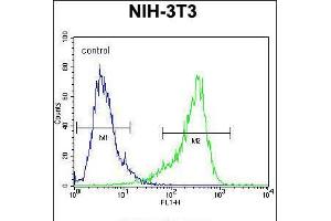 Flow cytometric analysis of NIH-3T3 cells (right histogram) compared to a negative control cell (left histogram). (CYP26A1 Antikörper  (C-Term))