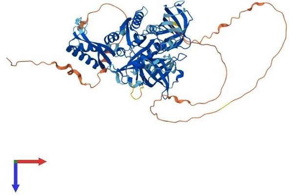 GTPBP1 Protein (AA 1-669) (His tag)