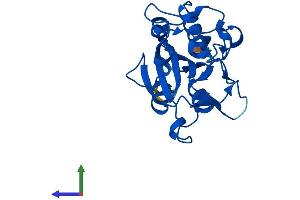 AlphaFold protein structure predicition of Human Recombinant NTAQ1 Protein, UniprotID Q96HA8