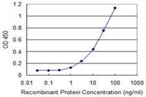 ELISA image for anti-Frizzled Family Receptor 7 (FZD7) (AA 155-254) antibody (ABIN6745994) (FZD7 Antikörper  (AA 155-254))