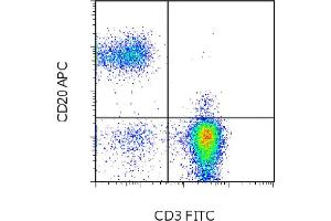 Flow Cytometry (FACS) image for anti-Membrane-Spanning 4-Domains, Subfamily A, Member 1 (MS4A1) antibody (APC) (ABIN2144232) (CD20 Antikörper  (APC))