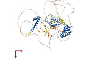 ARNT2 Protein (AA 1-717) (His tag)