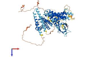 RHPN1 Protein (AA 1-643) (His tag)