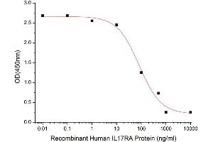 Interleukin 17 Receptor A (IL17RA) (AA 33-320) (Active) protein (His-Fc tag)