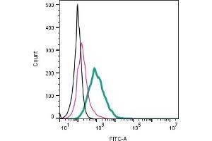 Cell surface detection of Piezo1 by direct flow cytometry in live intact mouse M1 myeloid leukemia cells: + Rabbit IgG Isotype Control-FITC (ABIN7582044).
