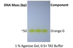 Image no. 1 for ExcelDye™ 6X DNA Loading Dye, Orange (ABIN5662580)