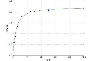 Complement Factor P (CFP) ELISA Kit