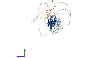 Protein Structure (PS) image for Fragile X Mental Retardation, Autosomal Homolog 2 (FXR2) (AA 1-673) protein (His tag) (ABIN7547857)