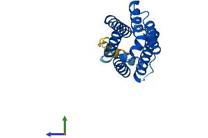 Protein Structure (PS) image for Tumor Necrosis Factor, alpha-Induced Protein 8-Like 2 (TNFAIP8L2) (AA 1-184) protein (His tag) (ABIN7544503)