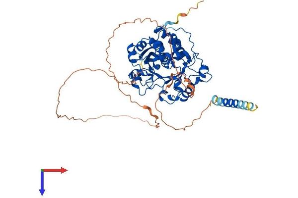 ST6GAL2 Protein (AA 1-529) (His tag)