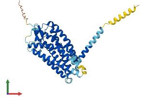 Protein Structure (PS) image for G Protein-Coupled Receptor 183 (GPR183) (AA 1-357) protein (His tag) (ABIN7557151)