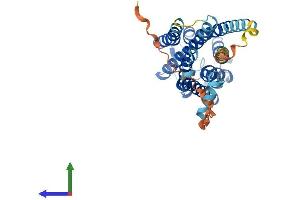 Protein Structure (PS) image for G Protein-Coupled Receptor 157 (GPR175) (AA 1-330) protein (His tag) (ABIN7559111)