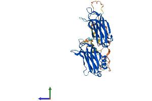 Protein Structure (PS) image for Double C2-Like Domains, alpha (DOC2A) (AA 1-405) protein (His tag) (ABIN7558231)