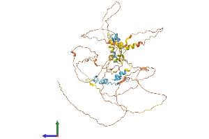 AlphaFold protein structure predicition of Mouse Recombinant Ikzf4 Protein, UniprotID Q8C208