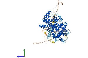 Protein Structure (PS) image for RAR-Related Orphan Receptor B (RORB) (AA 1-470) protein (His tag) (ABIN7564690)