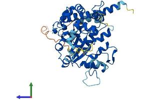 Protein Structure (PS) image for Carbohydrate (Keratan Sulfate Gal-6) Sulfotransferase 1 (CHST1) (AA 1-411) protein (His tag) (ABIN7553467)