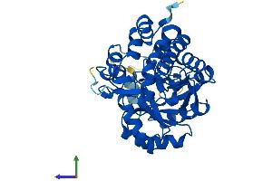 Protein Structure (PS) image for Hydroxyacid Oxidase (Glycolate Oxidase) 1 (HAO1) (AA 1-370) protein (His tag) (ABIN7548200)