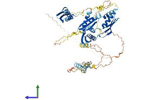 Protein Structure (PS) image for Double-stranded RNA-binding protein Staufen homolog 2 (STAU2) (AA 1-570) protein (His tag) (ABIN7559388)
