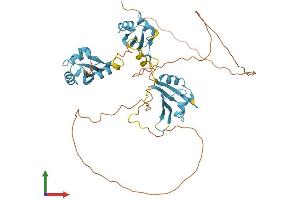 Protein Structure (PS) image for Heterogeneous Nuclear Ribonucleoprotein H2 (H') (HNRNPH2) (AA 1-449) protein (His tag) (ABIN7548388)