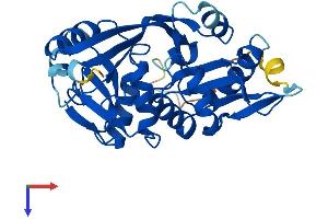 GLYATL1 Protein (AA 1-302) (His tag)