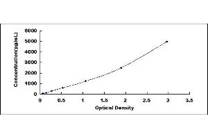 ICAM1 ELISA Kit