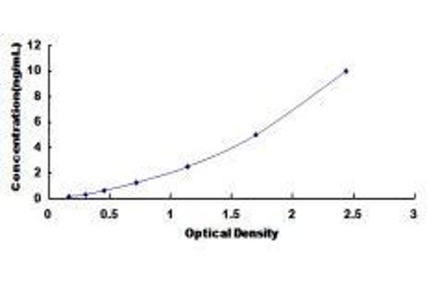 SLC27A5 ELISA Kit