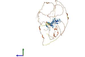 Protein Structure (PS) image for Early Growth Response 2 (EGR2) (AA 1-470) protein (His tag) (ABIN7562759)