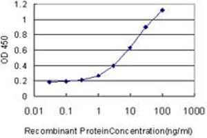 ELISA image for anti-Runt-Related Transcription Factor 2 (RUNX2) (AA 251-350) antibody (ABIN514045)