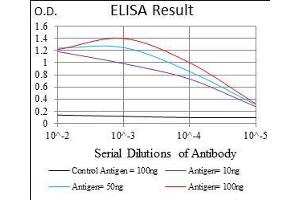 Black line: Control Antigen (100 ng), Purple line: Antigen(10 ng), Blue line: Antigen (50 ng), Red line: Antigen (100 ng), (FLIP Antikörper  (AA 100-251))