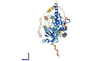 Protein Structure (PS) image for serine/threonine Kinase 3 (STK3) (AA 1-491) protein (His tag) (ABIN7555606)