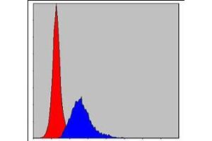 Flow cytometric analysis of MCF-7 cells using CRK mouse mAb (blue) and negative control (red). (Crk Antikörper)