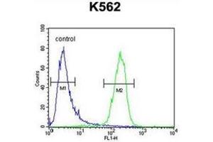 Flow Cytometry (FACS) image for anti-Solute Carrier Family 25, Member 52 (SLC25A52) (AA 49-79), (N-Term) antibody (ABIN953346)
