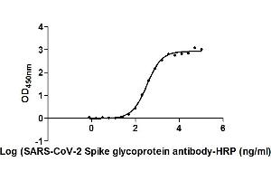 The Binding Activity of SARS-CoV-2-S Antibody, HRP conjugated with SARS-CoV-2-S. (Rekombinanter SARS-CoV-2 Spike S1 Antikörper  (HRP))