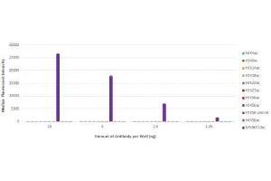 Histone H3K56ac antibody (rAb) tested by Luminex bead-based specificity analysis.