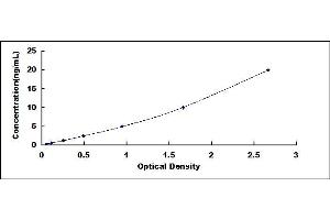 Typical standard curve (SHC1 ELISA Kit)