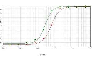 ELISA results of purified Rabbit Anti-Mouse IgG Biotin Conjugated Antibody tested against purified Mouse IgG. (Kaninchen anti-Maus IgG (Heavy & Light Chain) Antikörper (Biotin) - Preadsorbed)