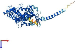 GNAS Protein (AA 1-394) (His tag)