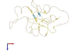 AMER2 Protein (AA 1-671) (His tag)