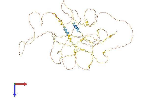 AMER2 Protein (AA 1-671) (His tag)