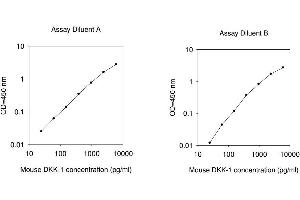 ELISA image for Dickkopf Homolog 1 (DKK1) ELISA Kit (ABIN625383) (DKK1 ELISA Kit)