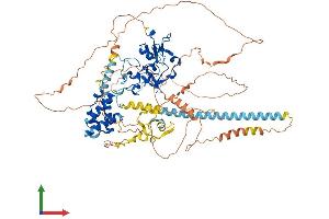 Protein Structure (PS) image for PHD Finger Protein 15 (PHF15) (AA 1-790) protein (His tag) (ABIN7548561)