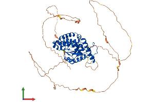 Protein Structure (PS) image for Eyes Absent Homolog 2 (Drosophila) (EYA2) (AA 1-538) protein (His tag) (ABIN7553878)