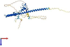 TRIM44 Protein (AA 1-344) (His tag)