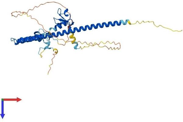 TRIM44 Protein (AA 1-344) (His tag)