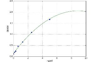 A typical standard curve