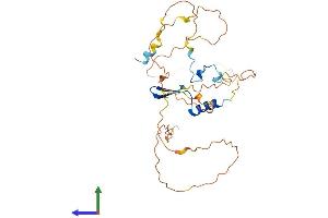 Protein Structure (PS) image for Vestigial Like 2 (VGLL2) (AA 1-317) protein (His tag) (ABIN7545047)