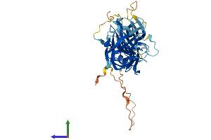 AlphaFold protein structure predicition of Mouse Recombinant Arrb2 Protein, UniprotID Q91YI4