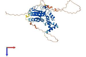 MAEL Protein (AA 1-434) (His tag)
