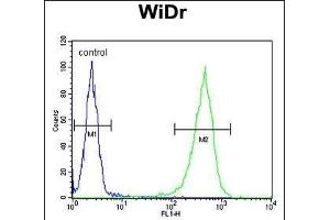 CCDC3 Antibody (C-term) (ABIN652692 and ABIN2842461) flow cytometric analysis of WiDr cells (right histogram) compared to a negative control cell (left histogram). (CCDC3 Antikörper  (C-Term))