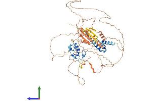 Protein Structure (PS) image for RING Finger Protein 6 (RNF6) (AA 1-667) protein (His tag) (ABIN7565010)